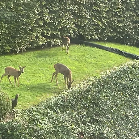 Villa Le Clos Du Chatelain,