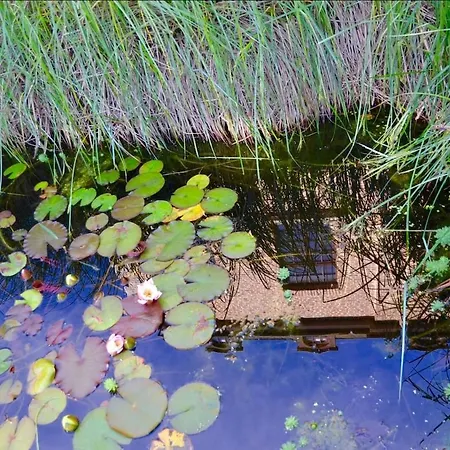 Villa Le Clos Du Chatelain,