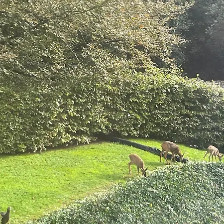 Le Clos Du Chatelain, *